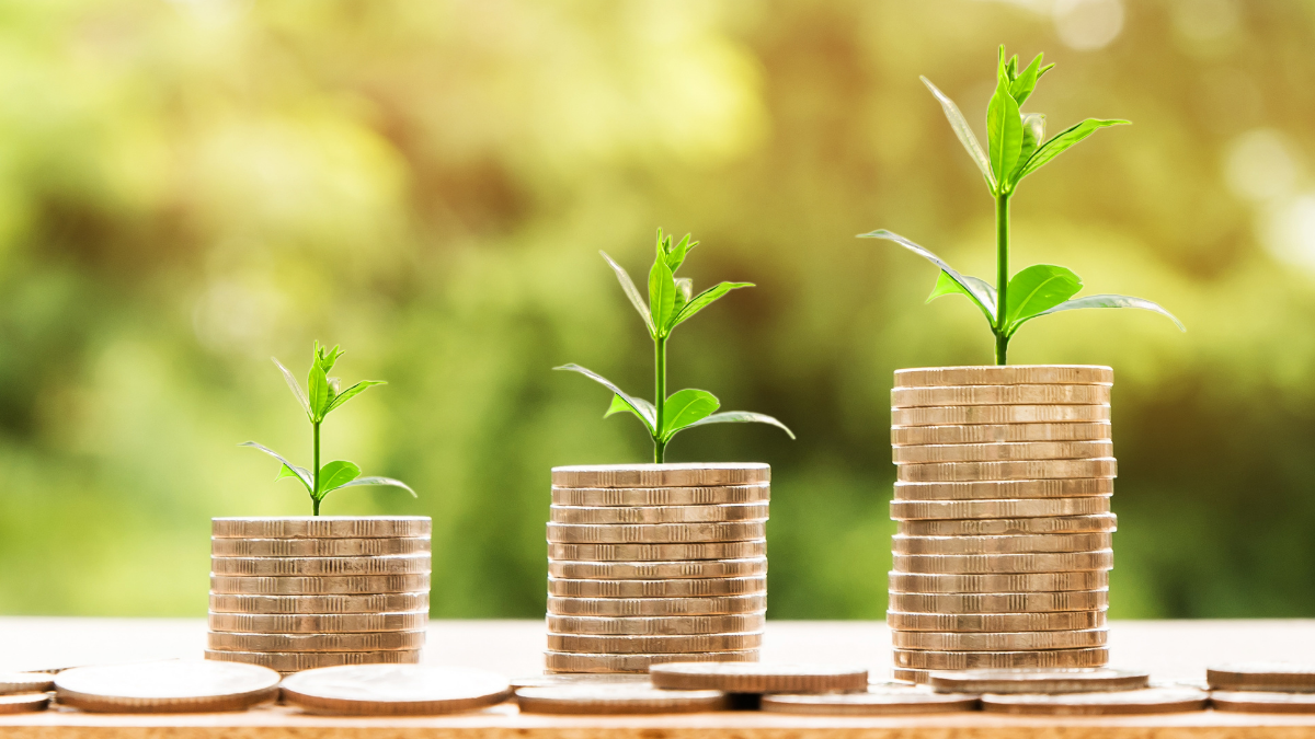 Three stacks of coins with a plant on top of each.